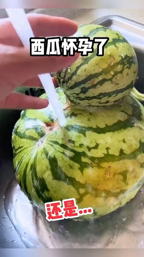 盘点吃瓜搞笑视频大全集,吃瓜搞笑视频大全集欢乐来袭