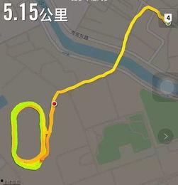 视频号吃瓜赛道,热门话题背后的娱乐狂欢