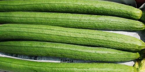 三伏天吃瓜视频,吃瓜视频大赏