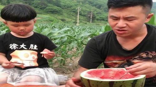 宝贝们比赛吃瓜视频播放,宝贝们的吃瓜大赛精彩瞬间回顾