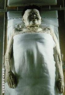 辛追夫人吃瓜视频,揭秘古墓奇闻背后的真实故事