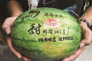 旅游景点吃瓜视频下载,下载攻略与热门景点美食探秘