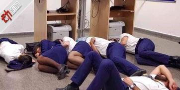 被开除的空姐吃瓜视频大全,视频大全背后的真相与争议