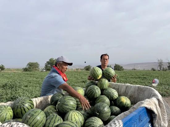 济南历城区吃瓜事件视频