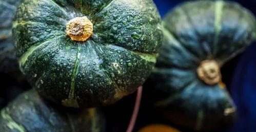 吃瓜真好吃视频大全,吃瓜达人必看！视频大全带你领略瓜界美味盛宴